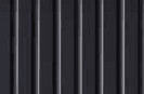 Common Black